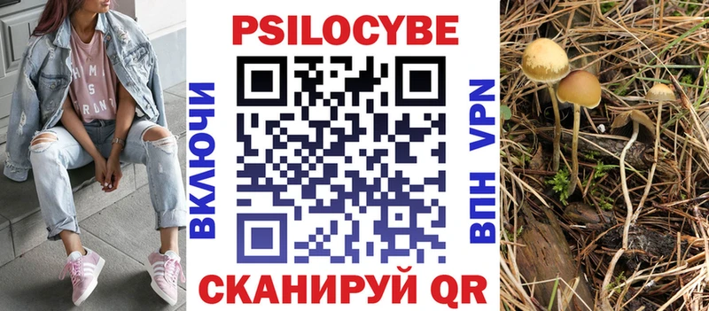 мега онион  Вольск  Галлюциногенные грибы Psilocybine cubensis 